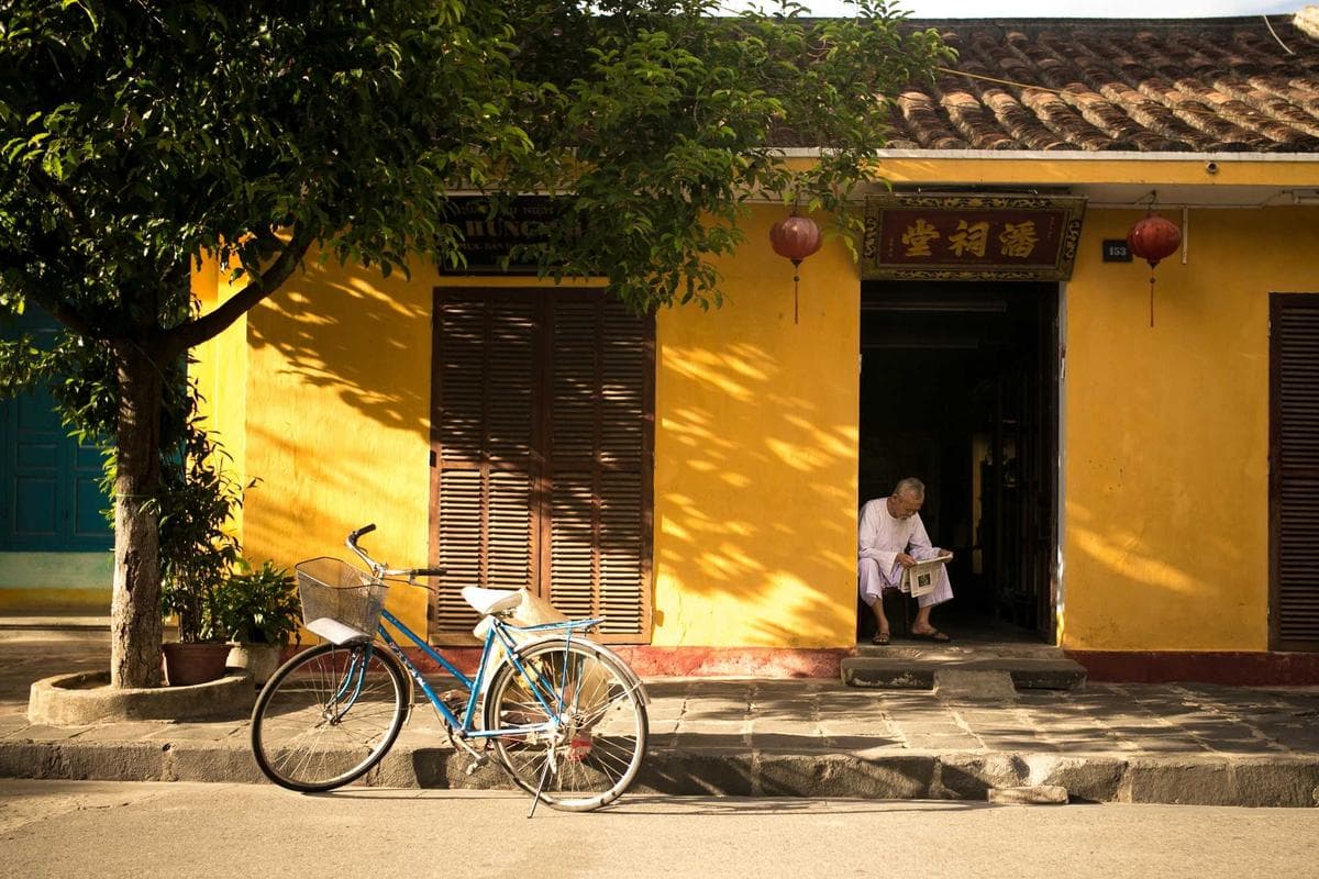 Dense Ash Handling Plants background