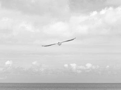 Bag Loading & Unloading Systems