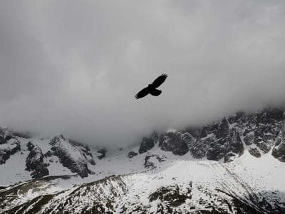 Jumbo Bag Handling Systems