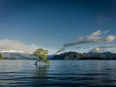 Tin-coated Copper Wire